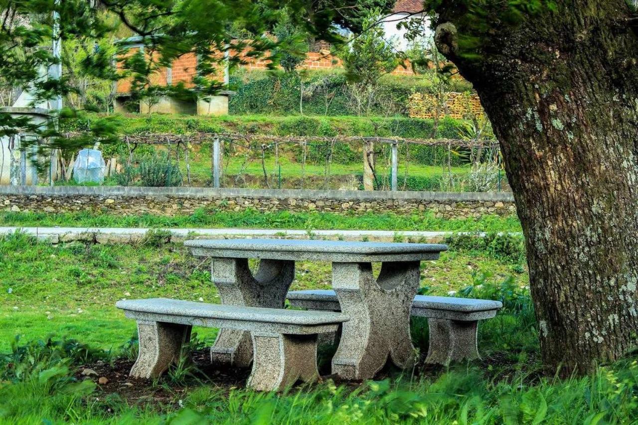 Viana Do Castelo - Amonde Village Casa P - Conforto Qualidade Natureza Eksteriør bilde