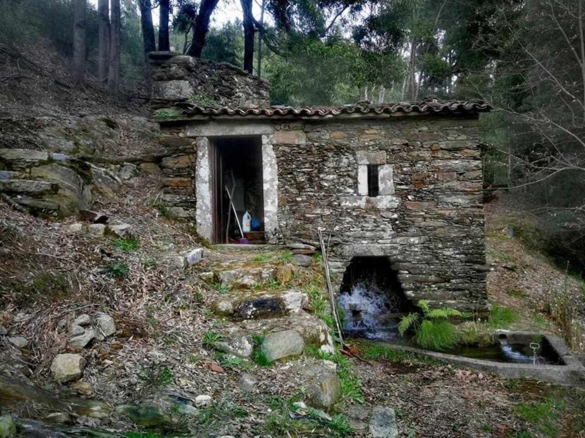 Viana Do Castelo - Amonde Village Casa P - Conforto Qualidade Natureza Eksteriør bilde